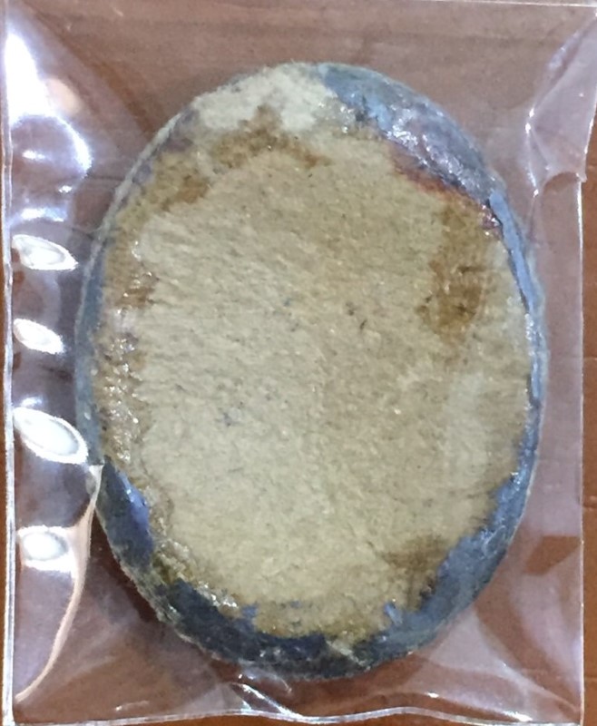 ล็อกเก็ต หลวงพ่อแพ วัดพิกุลทอง (2) 