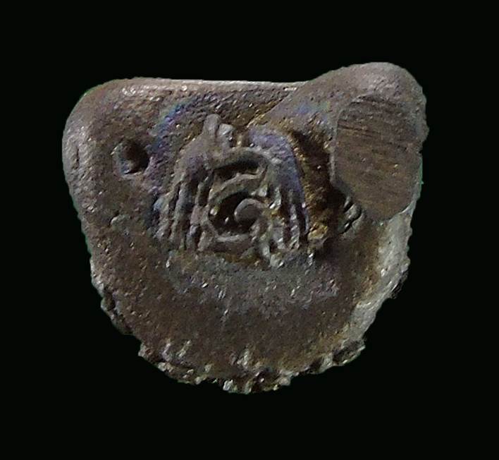 พระปิดตาพุฒซ้อน รุ่น1 หลวงพ่อแพ วัดพิกุลทอง 2532 (1)