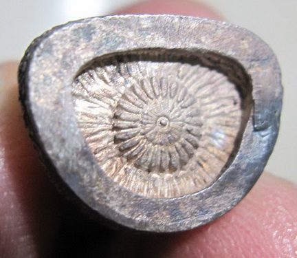 รูปหล่อหลวงพ่อแพ วัดพิกุลทอง 100 ปี (1)