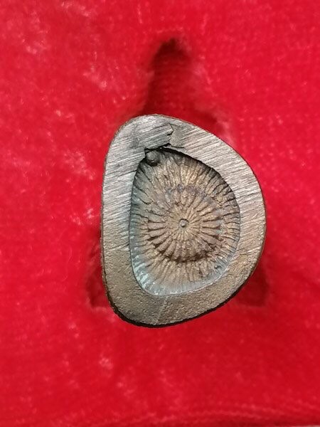 รูปหล่อหลวงพ่อแพ วัดพิกุลทอง 100 ปี (2)