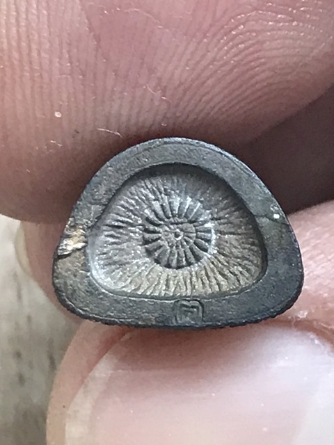 รูปหล่อหลวงพ่อแพ วัดพิกุลทอง 100 ปี (3)