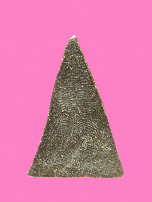 นางพญาเนื้อผงน้ำมัน เขียวๆ