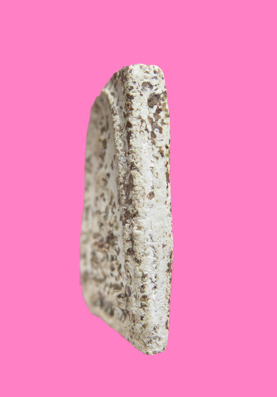 สมเด็จเด็จมีคราบปลวก