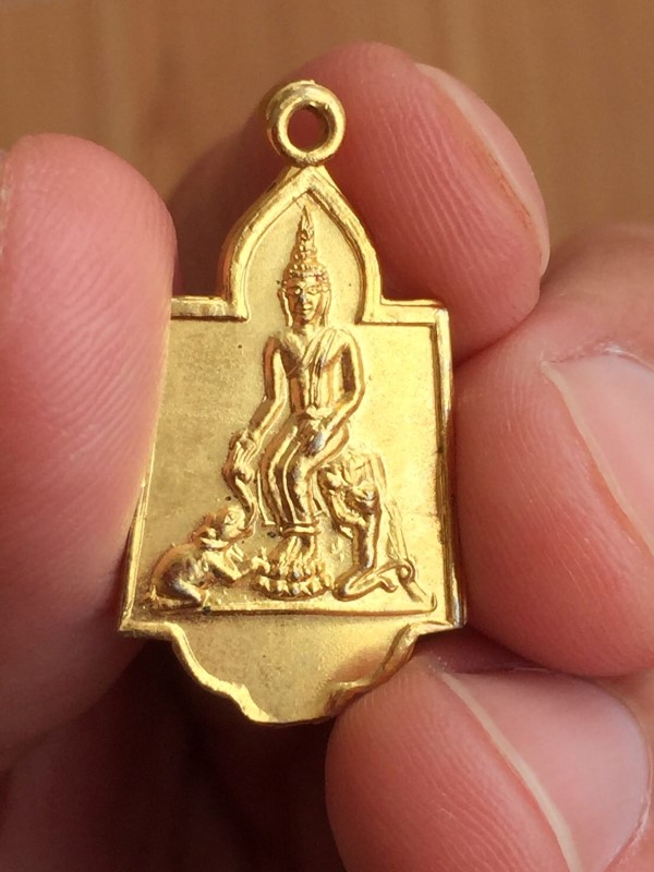 เหรียญพิมพ์ ปางป่าเลย์ไลก์ หลวงพ่อแพ