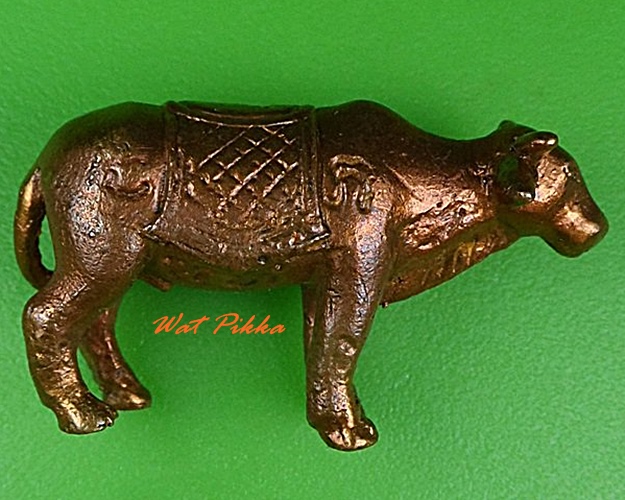 วัวรุ่นแรกหลวงพ่อแสวง วัดโยธินประดิษฐ์ สมุทรปราการ .5008.