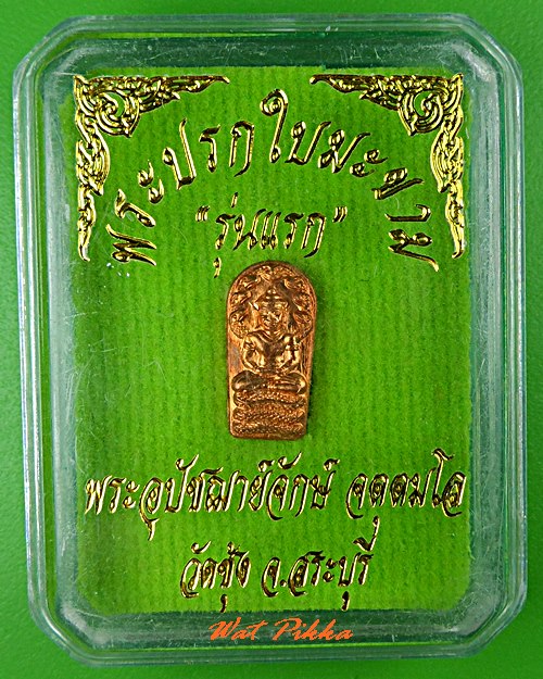 พระปรกใบมะขามรุ่นแรกหลวงพ่อจักษ์ วัดซุ้ง สระบุรี .5432.