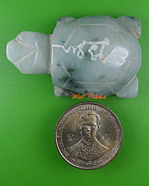 เต่าหลวงพ่อพิเชฐ วัดโคกหม้อ ลพบุรี .5476.