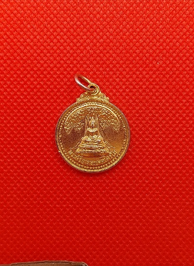 เหรียญพระศรีอริยะเมตไตย ตำหนักหลวงปู่พรหมา ปี19