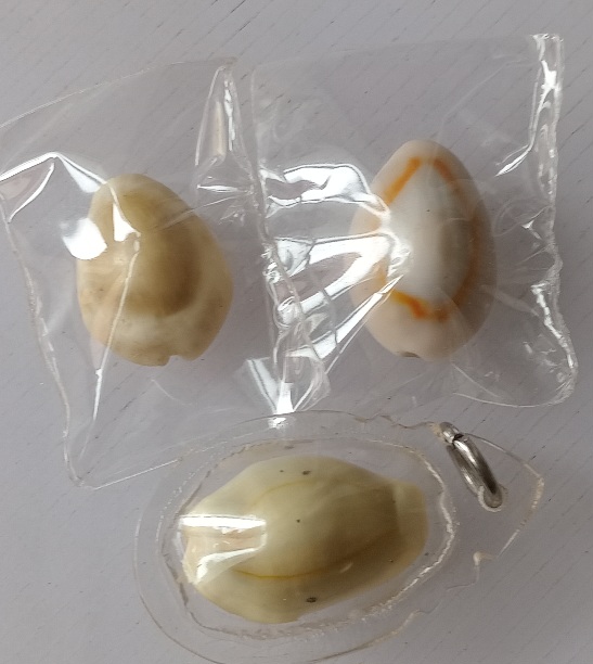 เบี้ยจั่น