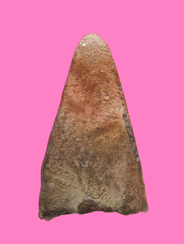 นางพญาเนื้อดิน 