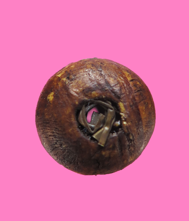 น้ำเต้าไม้ มีจาร มีตะกรุด