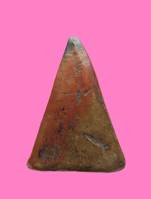 นางพญาเนื้อดิน เก่ามาก