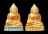 เคาะแรกแดง..กริ่งเล็ก ลพ.สำเร็จศักดิ์สิทธิ์ ๒๕๖๔..รวม ๒ องค์ รายละเอียดในโพสต์..วัดตลิ่งชัน สระบุรี