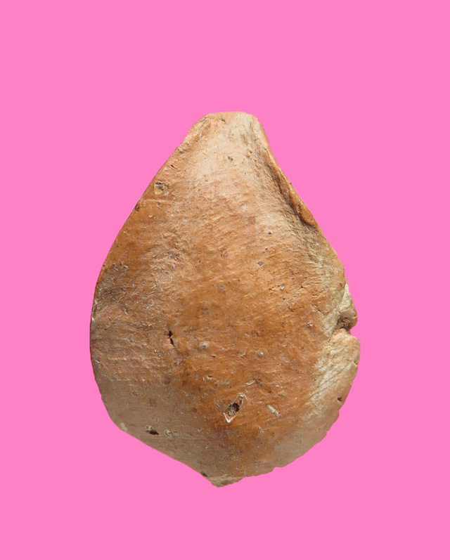 พระกลีบบัว เนื้อดิน