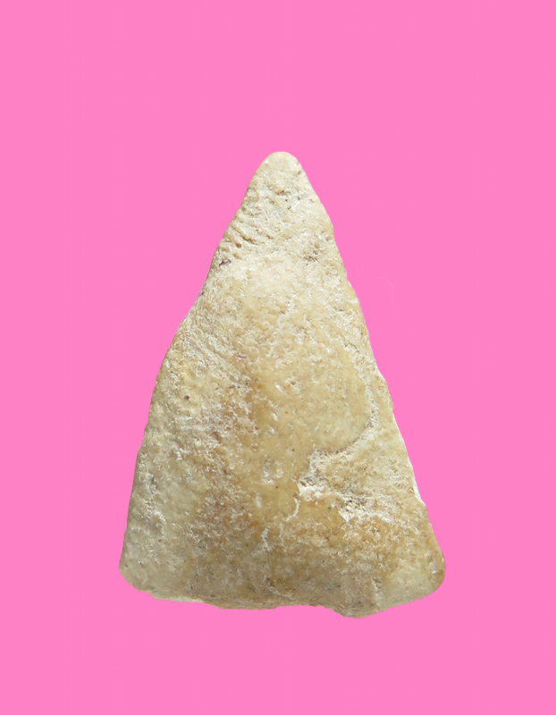 นางพญา สวย