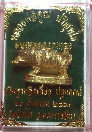 หมูมหามงคลคูณทอง หลวงพ่อคูณ วัดบ้านไร่ ปี2553 เนื้อทองทิพย์ ใต้ฐานอุดผงจีวรเกศา+ตะกรุด เลข4266+กล่อง
