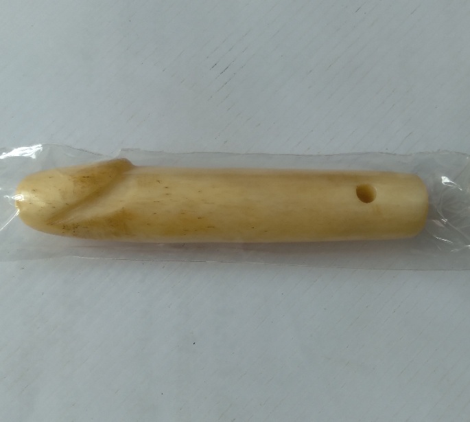 ปลัดขิกกระดูกแกะไม่ทราบที่