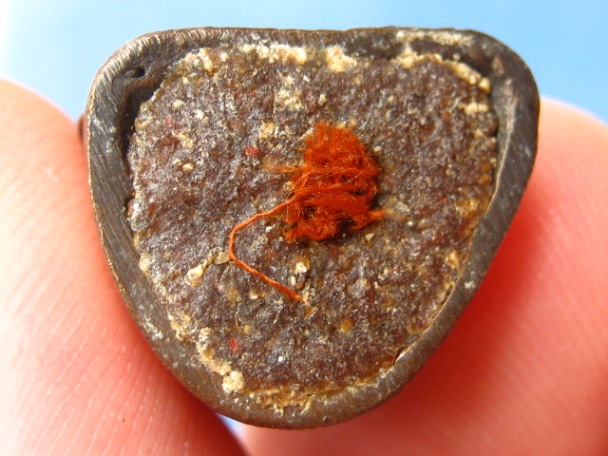 รูปหล่อ หลวงปู่พวง วัดสหกรณ์รังสรรค์ จ.สระบุรี