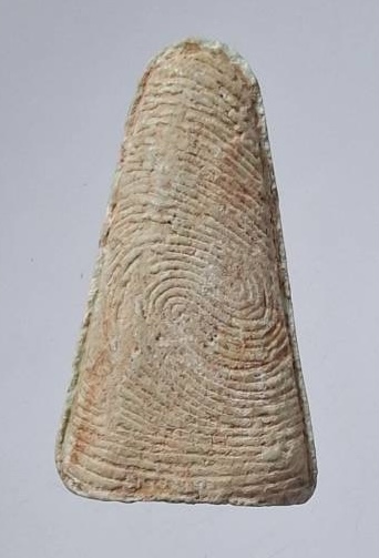 พระผงสุพรรณ เนื้อผง เก่าๆ ไม่ทราบที่