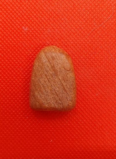 ซุ้มกอ ไม่ทราบที่