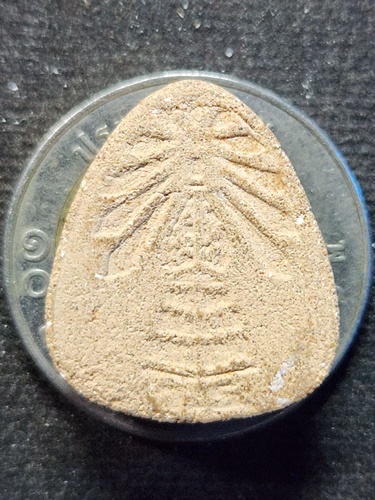 วัดพระธาตุพนม อ.เมือง จ.นครพนม  พระปิดตาข้างยันต์อุ  เนื้อผงว่าน รุ่น  ๑  ปี2518 