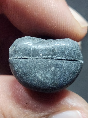 วัดกู่พระโกนา จ.ร้อยเอ็ด พระปิดตามหามงคลรวยทันใจ หลวงปู่กอง ยโสธโร รุ่นแรก ปี 60