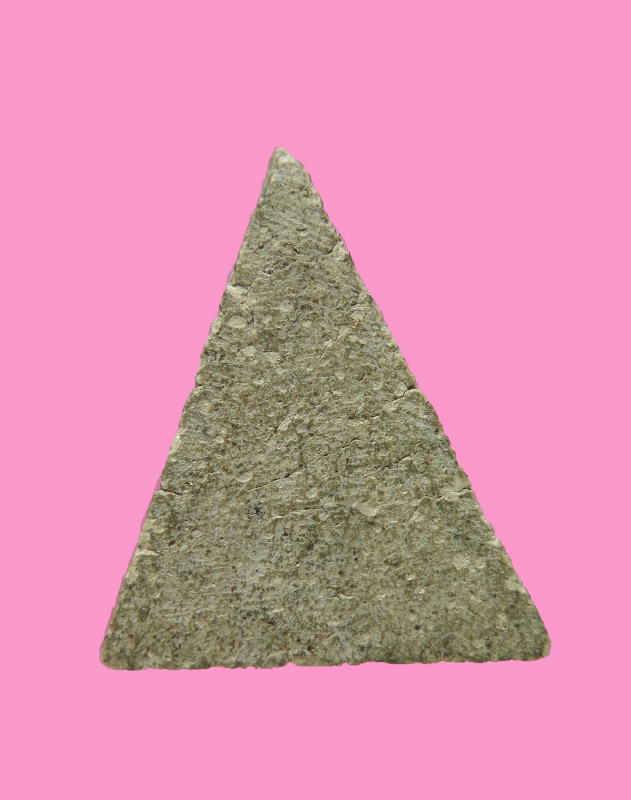 พระนางพญามีหน้าตา