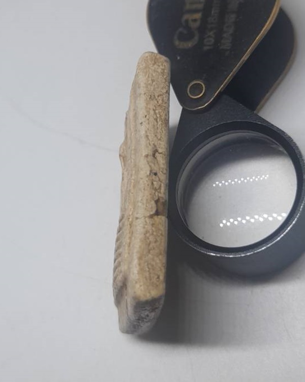 สมเด็จเกศไชโย ๖ ชั้น นอกพิมพ์ นิยม วัดไชโยวรวิหาร