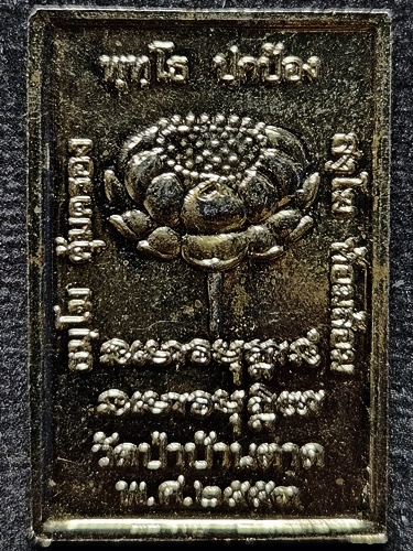 วัดป่าบ้านตาด อุดรธานี เหรียญหลวงตามหาบัว พุทธโธ ปกป้อง  ปี53