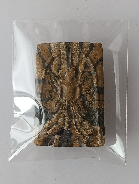 พระสมเด็จลายเสือหลวงพ่อมุม วัดปราสาทเยอร์