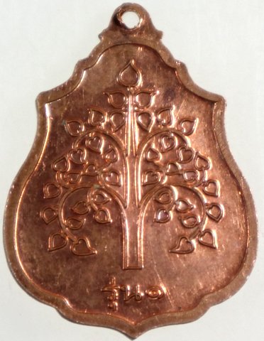 ๒๐ เหรียญพ่อท่านคล้าย วัดจันดี