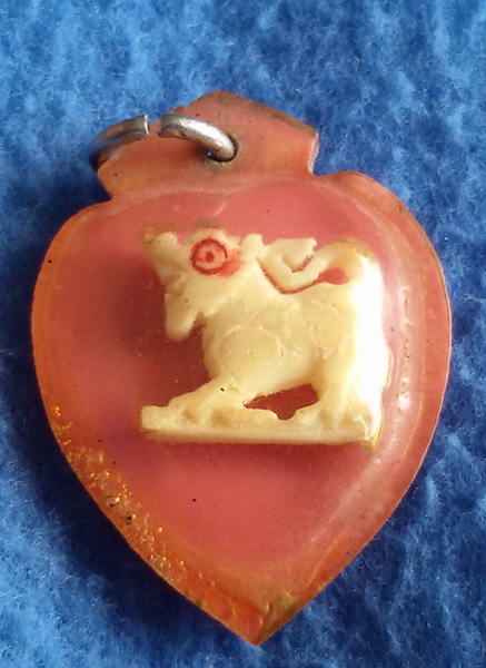 สิงห์งาแกะ หลวงปู่เหรียญ วัดหนองบัว จ. กาญจนบุรี