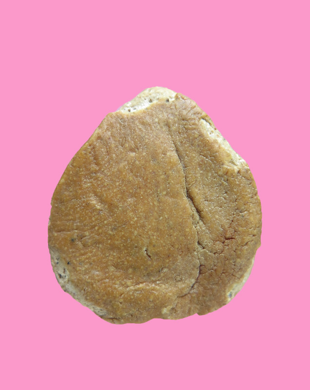 พระปิดตาเนื้อผงน้ำมัน และมวลสารเกสรดอกไม้ ครูบาคำปัน วัดสันโป่ง อ.แม่ริม จ.เชียงใหม่ ปี2519