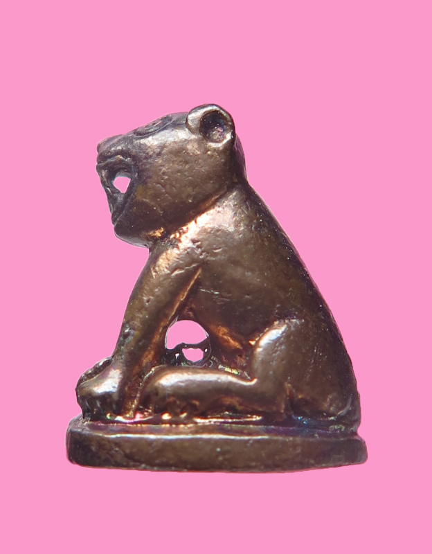 เสือจิ๋ว หลวงพ่อสมชาย วัดปริวาศ พร้อมกล่องเดิม