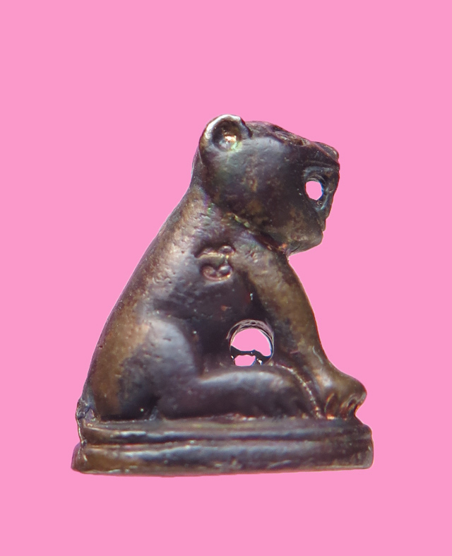 เสือจิ๋ว หลวงพ่อสมชาย วัดปริวาศ พร้อมกล่องเดิม