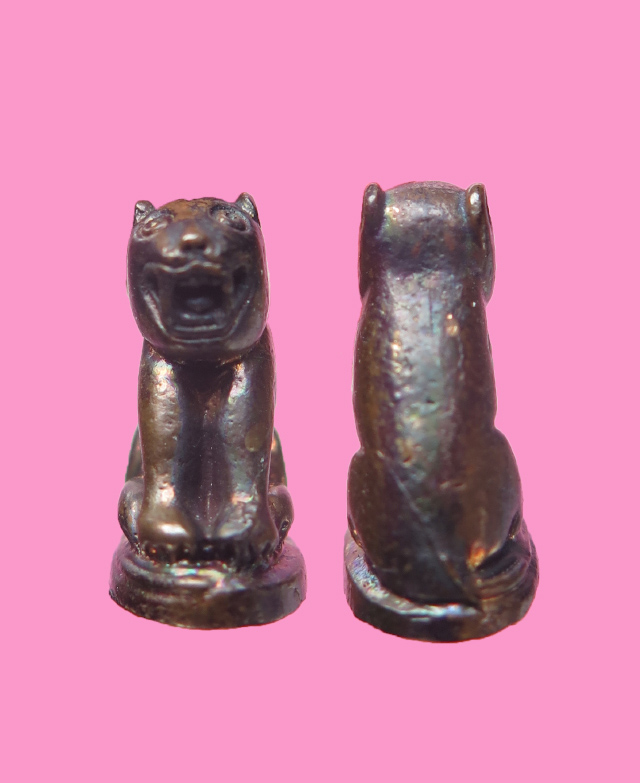 เสือจิ๋ว หลวงพ่อสมชาย วัดปริวาศ พร้อมกล่องเดิม