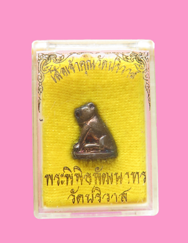 เสือจิ๋ว หลวงพ่อสมชาย วัดปริวาศ พร้อมกล่องเดิม