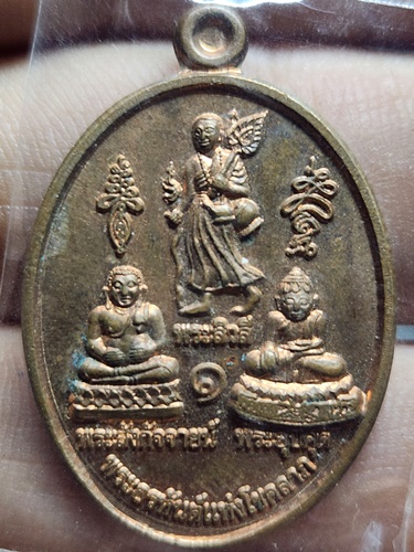  วัดป่าสุทธาราม จ.สกลนคร  เหรียญ พระอรหันต์แห่งโชคลาภ ปี 2555 
