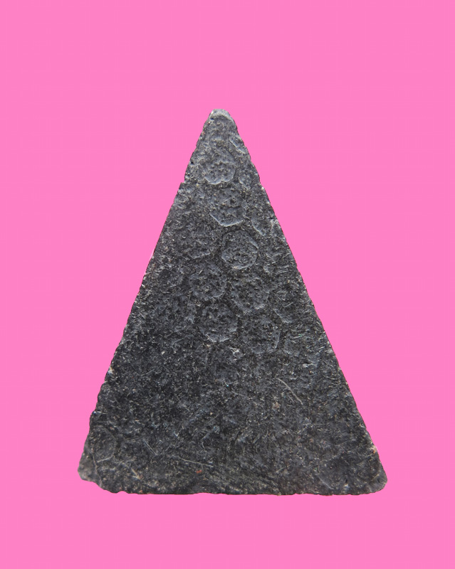 นางพญาเนื้อดิน หลังมีลาย สวย