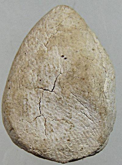 ๒๐ พระผงกลีบบัวประทานพร