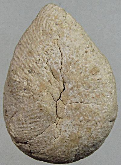 ๒๐ พระกลีบบัวประทานพร เนื้อผง