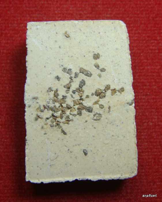 พระสมเด็จหลังโรยแร่ หลวงพ่อสละ วัดประดู่ทรงธรรม