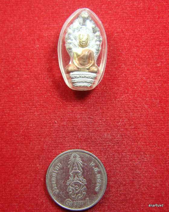 พระนาคปรก เนื้อสามกษัตริย์ หลวงพ่อแล วัดพระทรง จ. เพชรบุรี ปี 2550