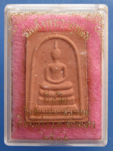 สมเด็จ พระธาตุพนม ว.ค.สกลนคร ปี2536