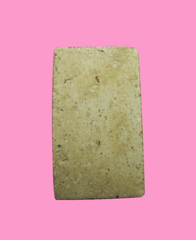 สมเด็จขี่ไก่ หลวงพ่อนวล วัดโพธิ์บางระมาด