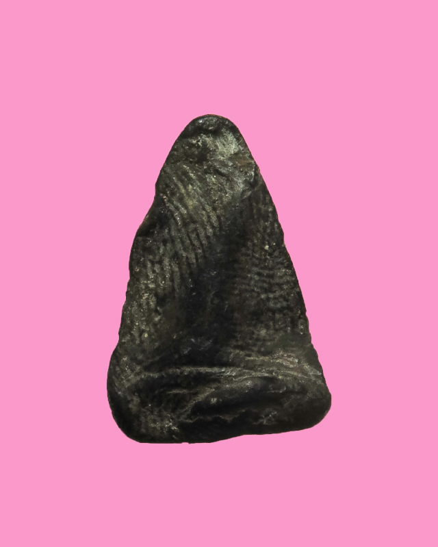 นางพญา เนื้อดิน จัดๆ