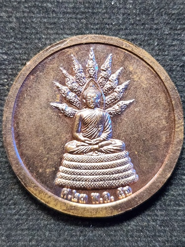 เหรียญนารายณ์ทรงครุฑ หลังพระนาคปรก ปี2553