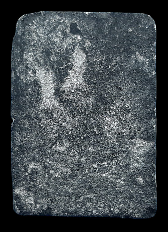 พระสมเด็จรัศมี กรุวัดคลองขอม จ.สุพรรณบุรี เนื้อผงใบลาน หลวงปู่ศุข ปลุกเสก 