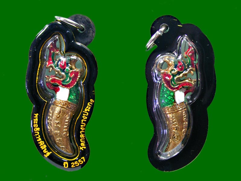 เขี้ยวแก้วนาคราช  ปี2557 วัดกลางบางปะกง พร้อมเลี่ยม  .......เคาะเดียวแดง 