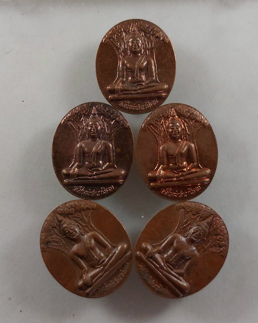 " เหรียญพระพุทธ ปรกโพธิ์ หลวงปู่หลอด ปโมทิโต วัดใหม่เสนานิคม สมโภชเจดีย์ ปี 2546 ทีเดียว 5 เหรียญสวย